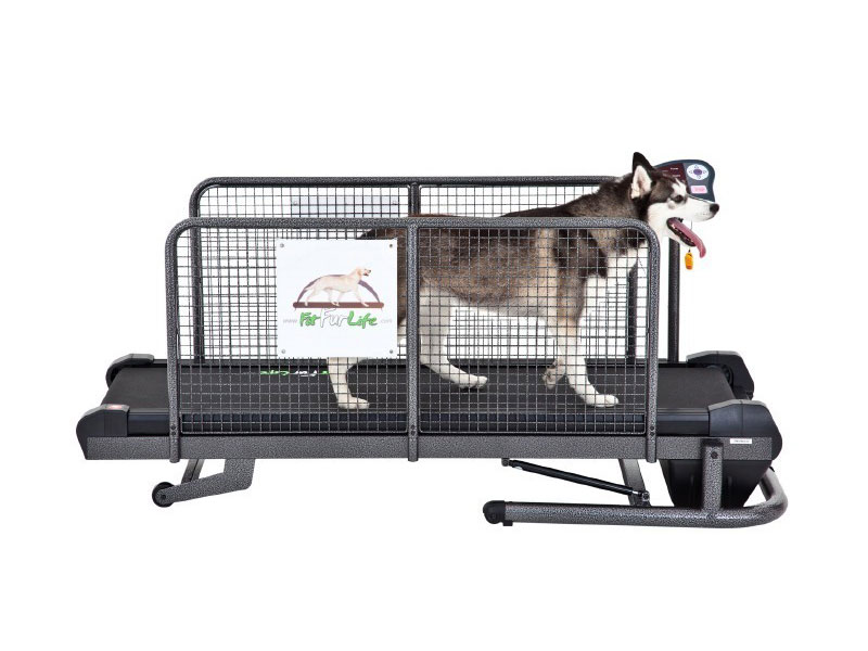 Medium Fit Fur Life Treadmill