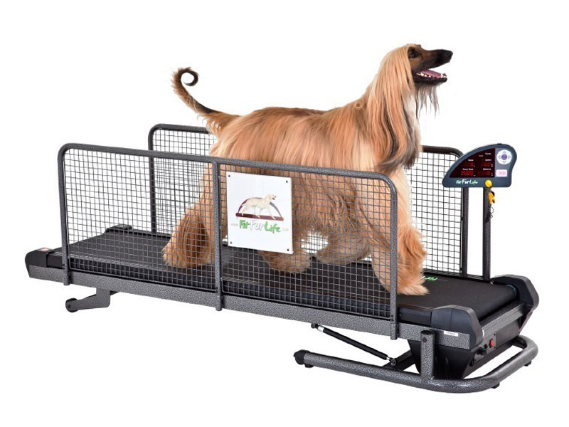 Professional Fit Fur Life Treadmill