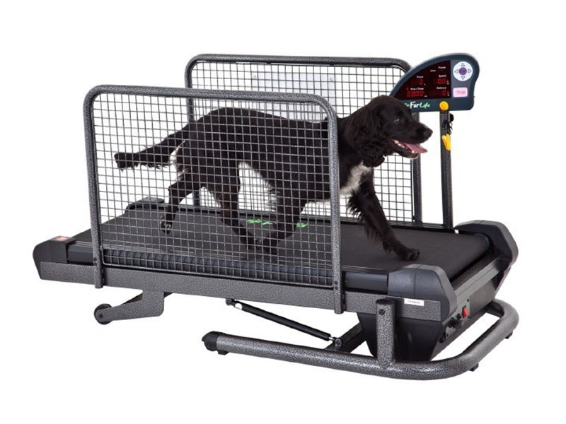 Small Fit Fur Life Treadmill