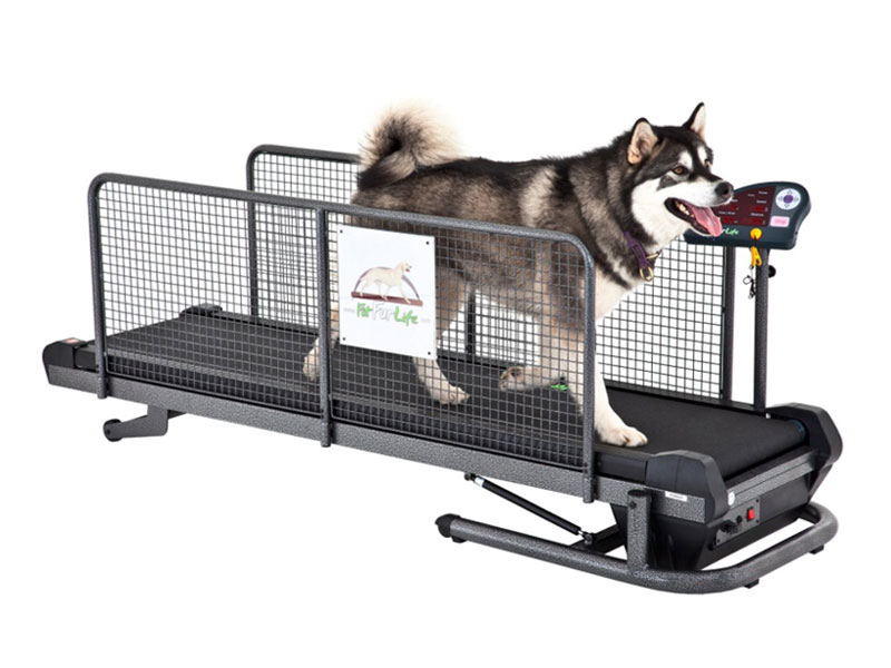 Superior Fit Fur Life Treadmill